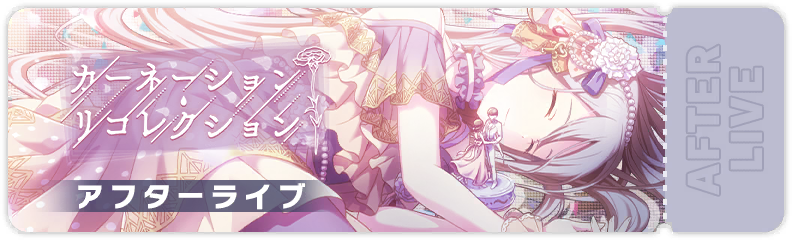 Carnation Recollection After Show